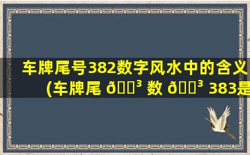 车牌尾号382数字风水中的含义(车牌尾 🐳 数 🌳 383是不是代表两边有山寓意发财)